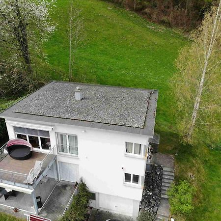 Alpen Panorama View Luxury House With Green Garden Buchs  Kültér fotó